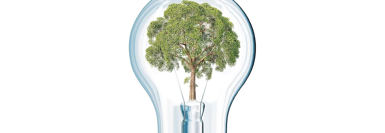 Tree in a light bulb