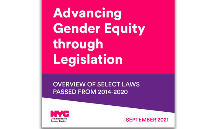 Advancing Gender Equity Through Legislation Cover