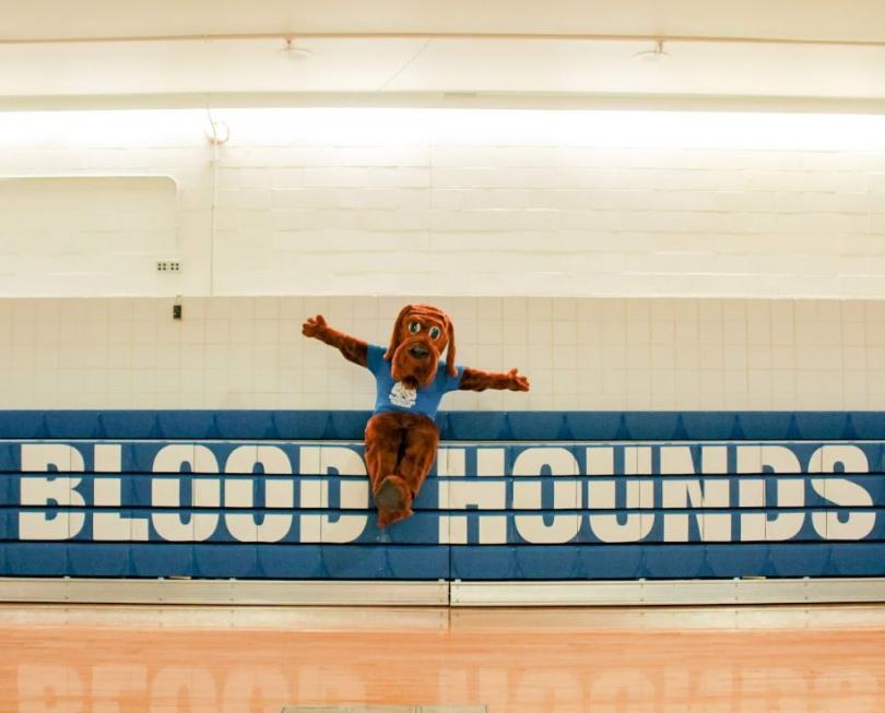 The John Jay Bloodhound sitting on the bleachers.